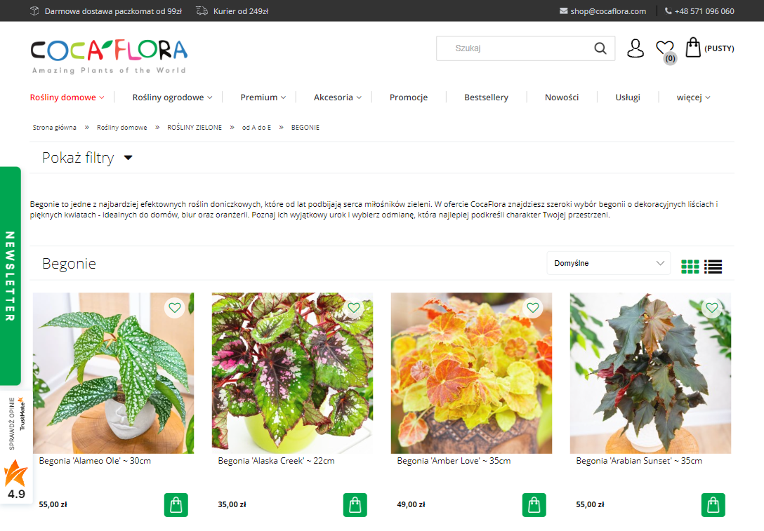Begonie - dlaczego to jedne z najpiękniejszych roślin kwitnących do mieszkania i na balkon?