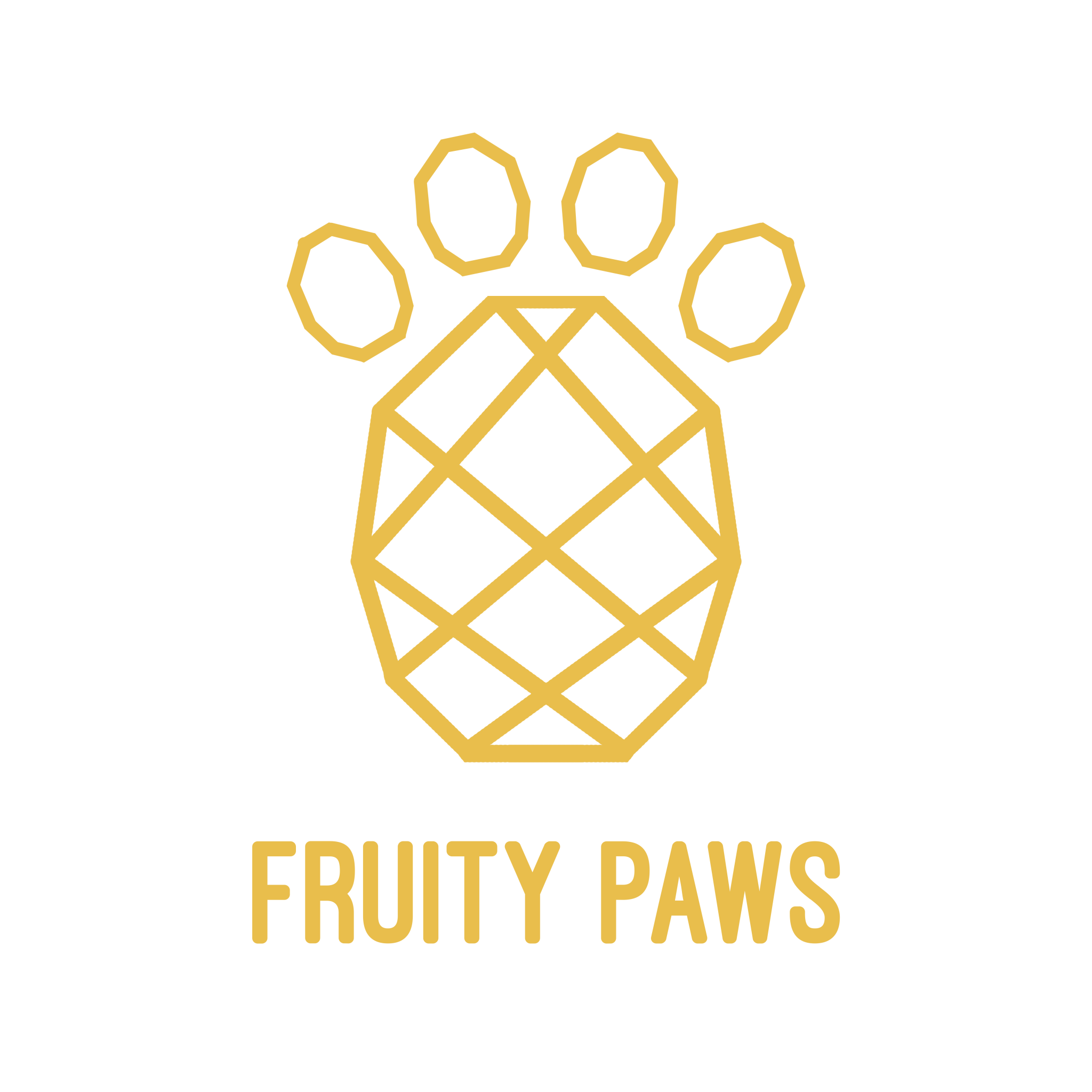 Smycze i obroże dla psów | Sklep internetowy Fruity Paws